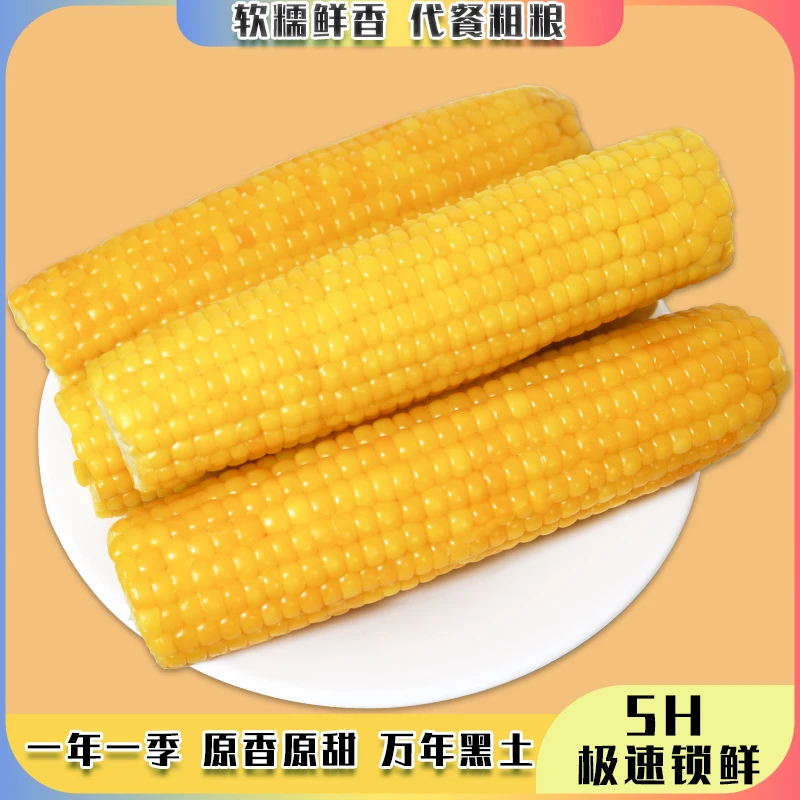 【官观甄选】2024头茬东北黄糯玉米新鲜甜糯玉米玉米棒真空包装整箱