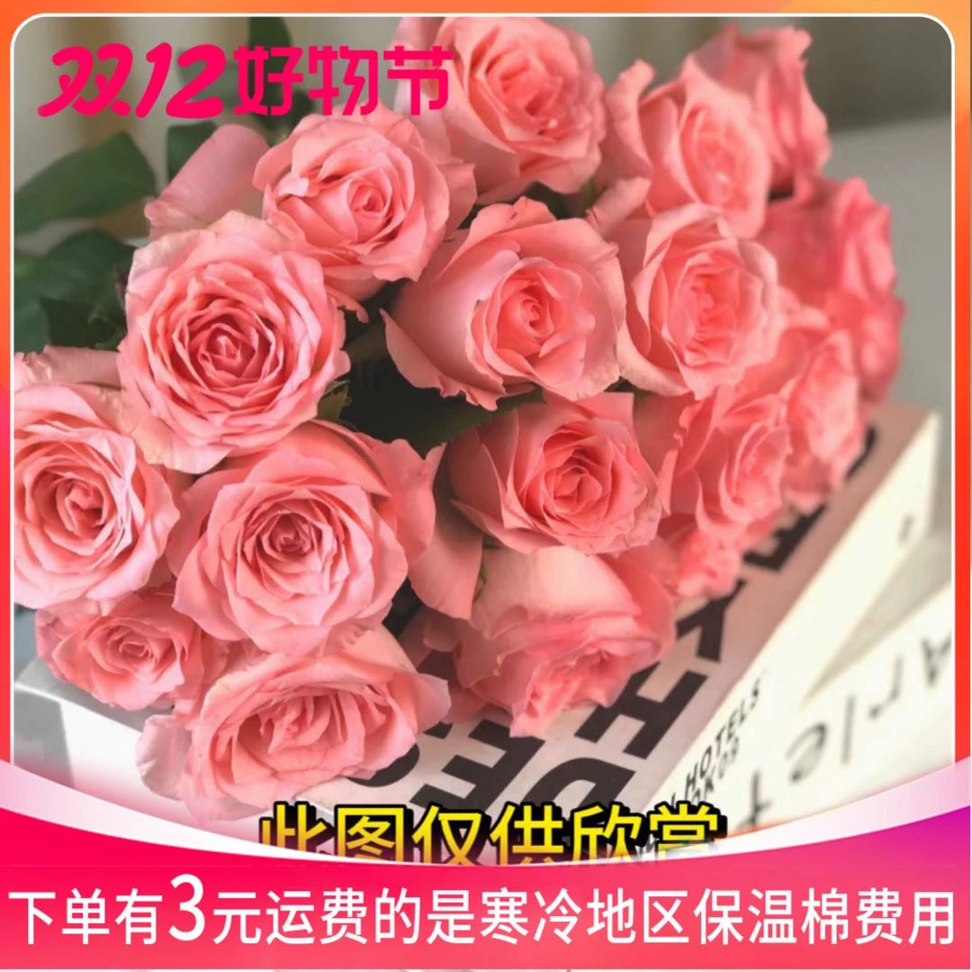 20支戴安娜玫瑰 粉丝送保鲜剂 20%运损不售后鲜花不可拒收 鲜花