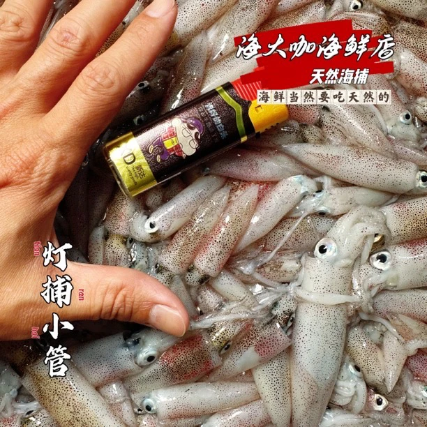 广东汕尾 天然野生灯捕小鱿鱼 一口鱿 笔管