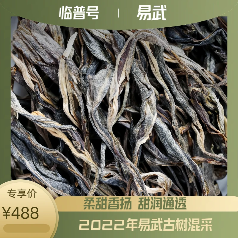 【618·开仓放漏·2022年易武古树】柔甜香润汤质细腻香气馥郁