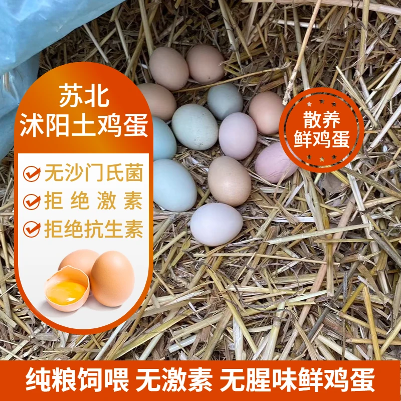 【苏北农村】正宗散养跑地鸡土鸡蛋新鲜现捡发货.30. 40 .50 枚