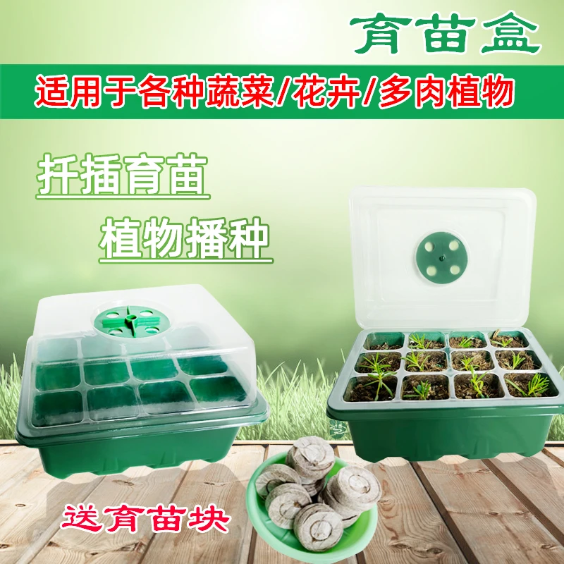 育苗盒多肉扦插花卉植物播种叶插加厚育苗盘箱盒三件套穴盘保温盖