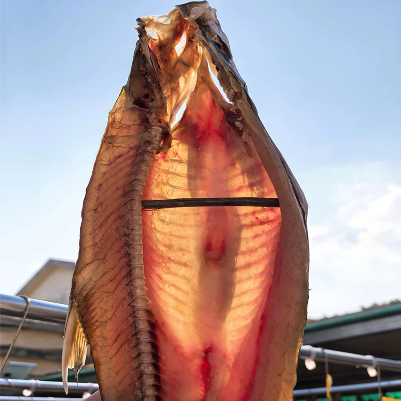 阳干大白刁翘嘴鱼低盐腌制苏北特产风干鱼阳干刁子鱼不咸肉嫩