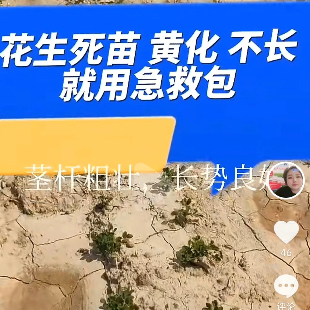 花生急救包（花生黄苗 死苗