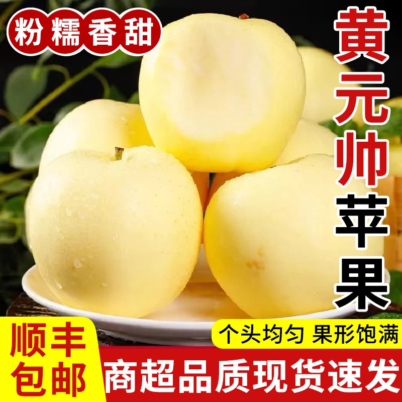 黄元帅精选正宗金帅黄香蕉苹果新鲜香甜金冠老人孩子可刮泥粉面