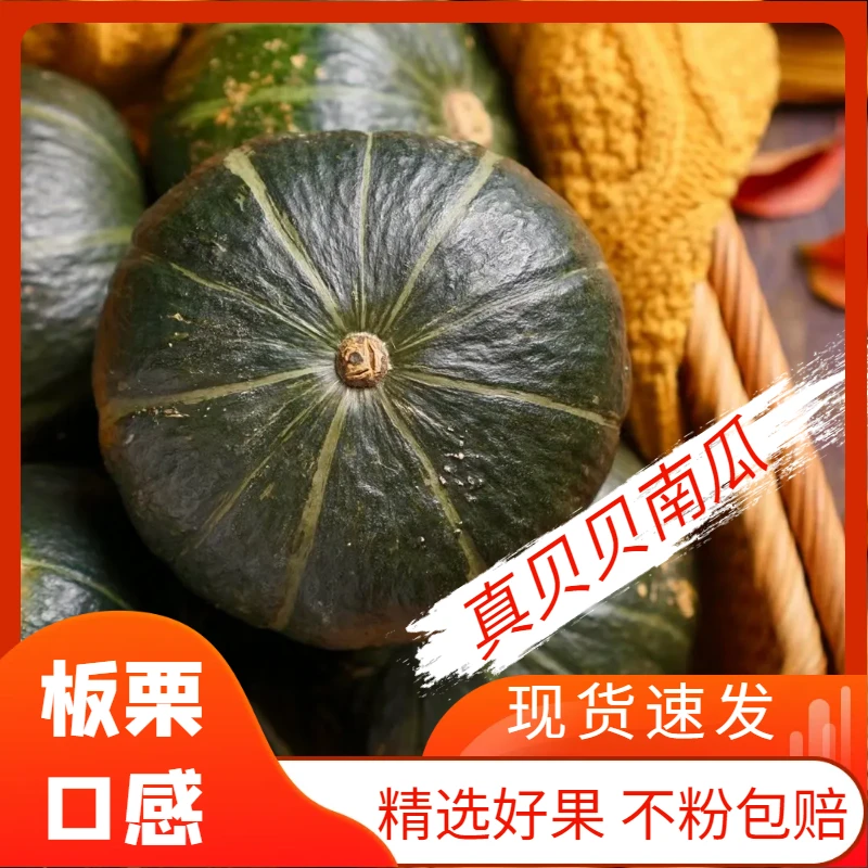 正宗贝贝南瓜苏北产地发货新鲜板栗味小南瓜粉糯绿色健康自然种植