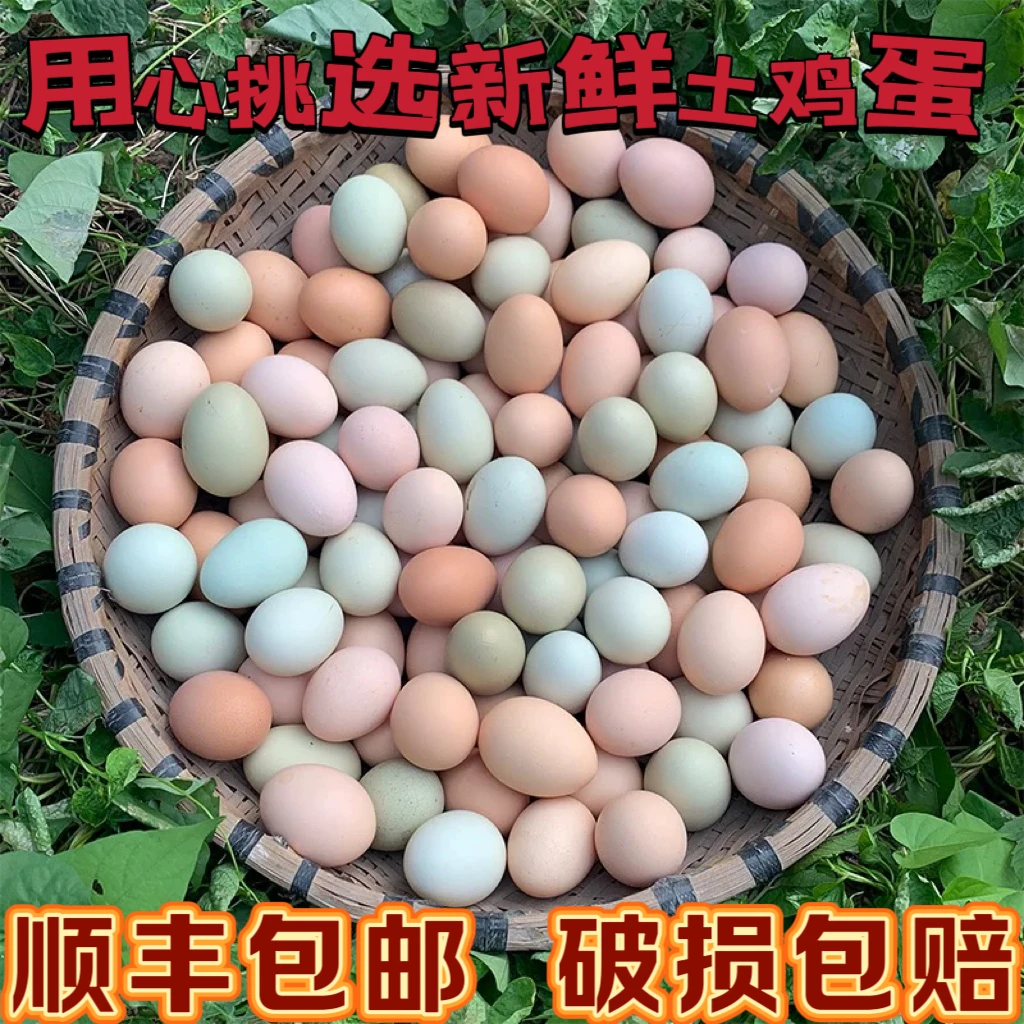 【初生土鸡蛋嫌小勿拍】新鲜鸡蛋农家正宗土鸡蛋五谷喂养健康营养蛋