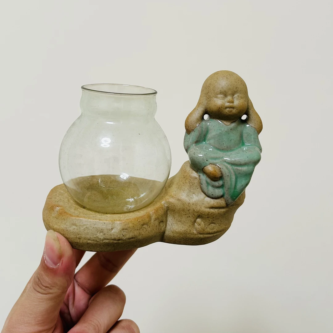 水培瓷盆盆栽盆景室内客厅办公室前台桌面绿色花卉绿植