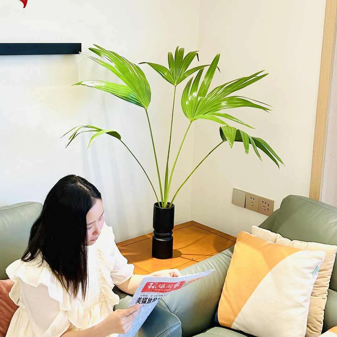 雅韵阁蒲葵折扇棕榈水培盆栽盆景室内阳台办公室耐阴好养花卉绿植