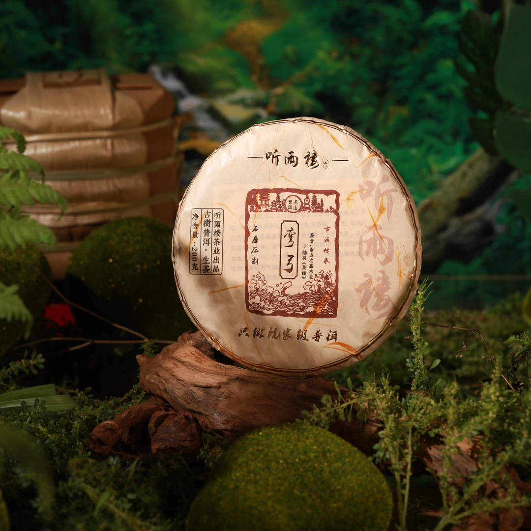 听雨楼2022年听雨楼弯弓古树生茶200g