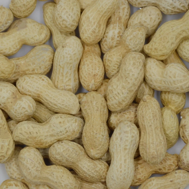 原味小花生180克瓶装炒货休闲零食