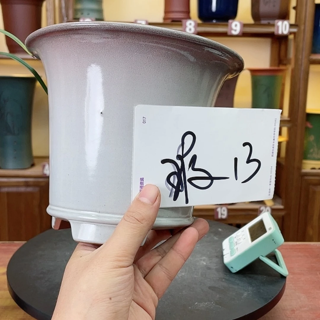【闪购商品】紫砂花盆今****雪兰花452688258852685568