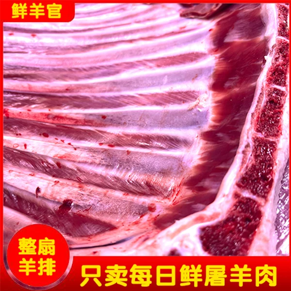 鲜羊官新鲜整扇羊排排骨羊排骨之和各种吃法同城配送每日鲜屠