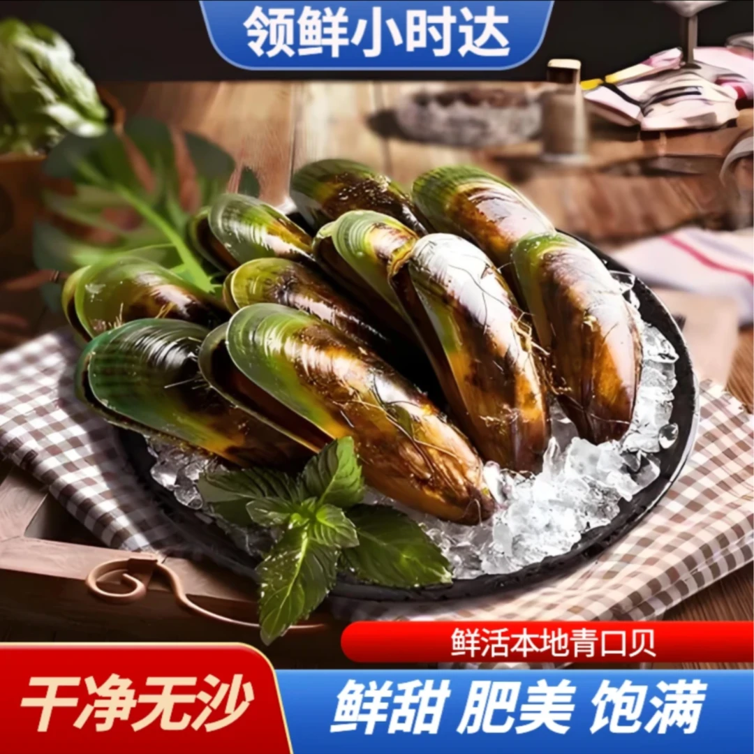 鲜活青口贝/海虹（散称）