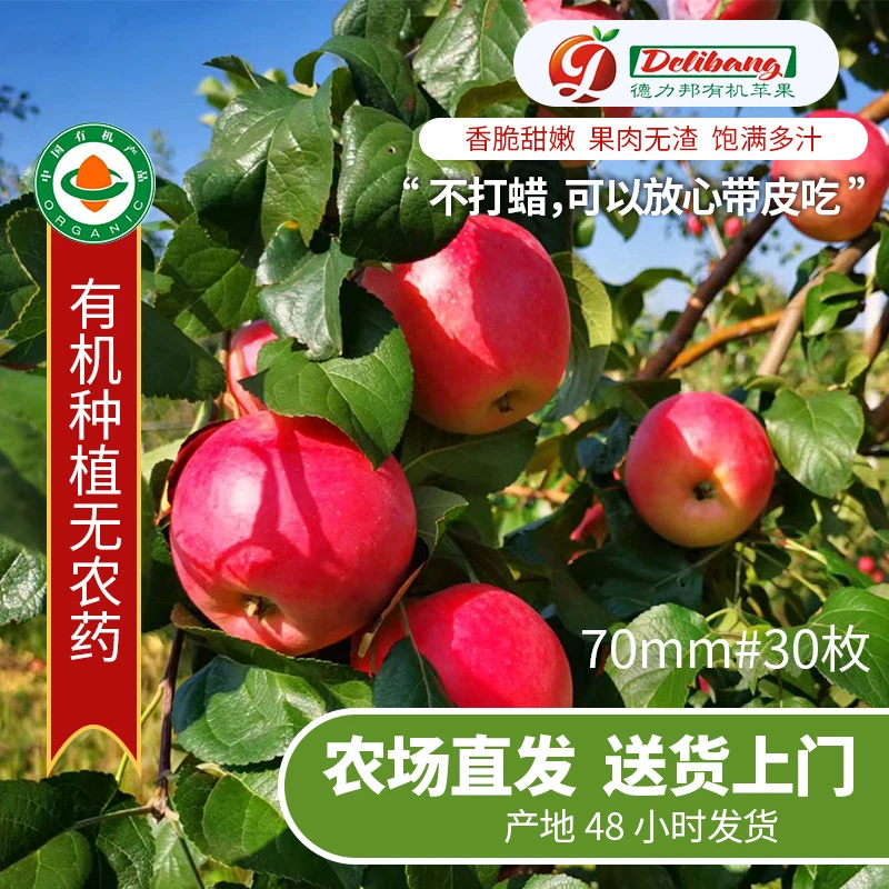 德力邦有机红苹果清甜脆爽红富士天然新鲜整箱70mm#30枚