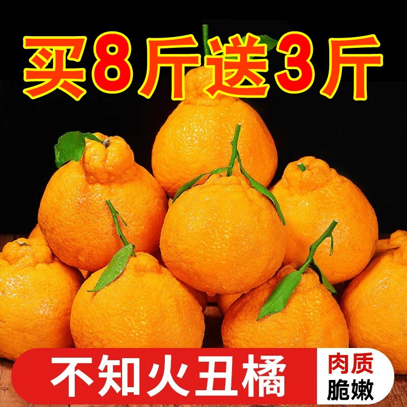 正宗不知火丑橘当季橘子新鲜水果四川丑八怪耙耙柑桔子无籽皮薄甜