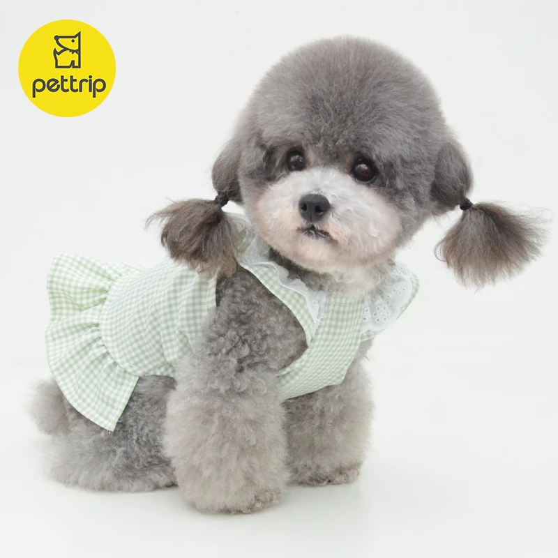 新款春夏宠物裙子宠物衣服小狗衣服狗狗裙子狗衣服夏季泰迪衣服