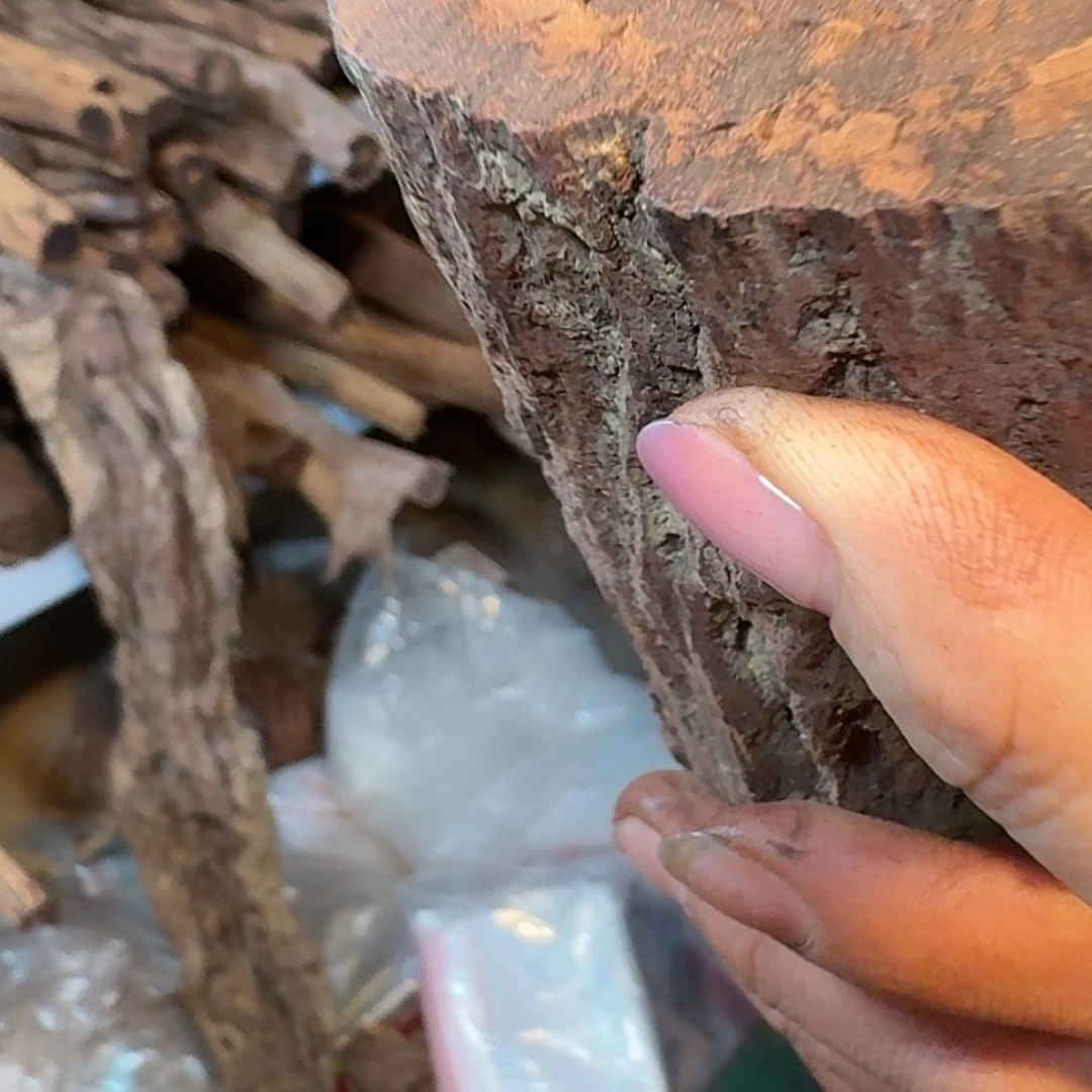 【闪购商品】缅甸小叶降真香根雕大**卜定制，不退不换