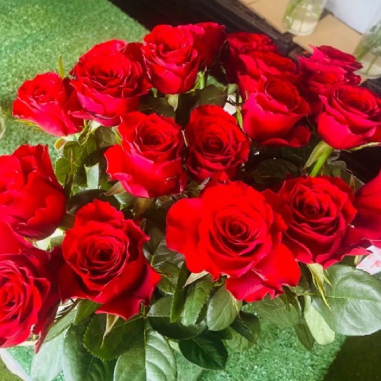 【旺哥花园】精选玫瑰东北凌源基地直发一单也顺丰包邮