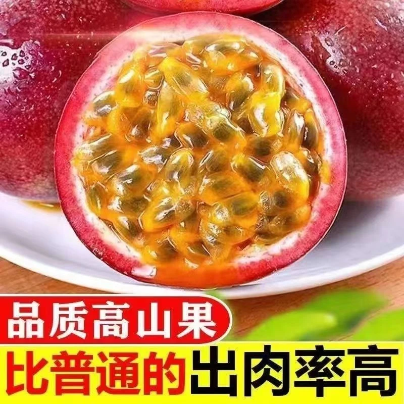【现摘先发】云南紫皮农产品香甜大果特级当季水果新鲜百香果紫皮