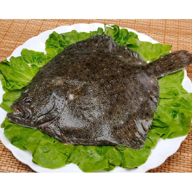 淡水多宝鱼（600g±50g）/条（默认宰杀）