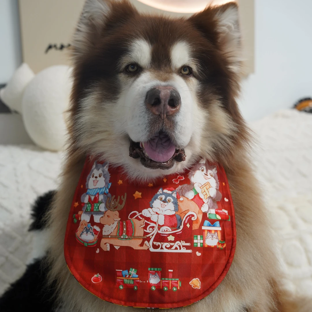 【凯文呐呐呀】可爱狗狗中大型犬专用加大口水兜阿拉斯加插画周边
