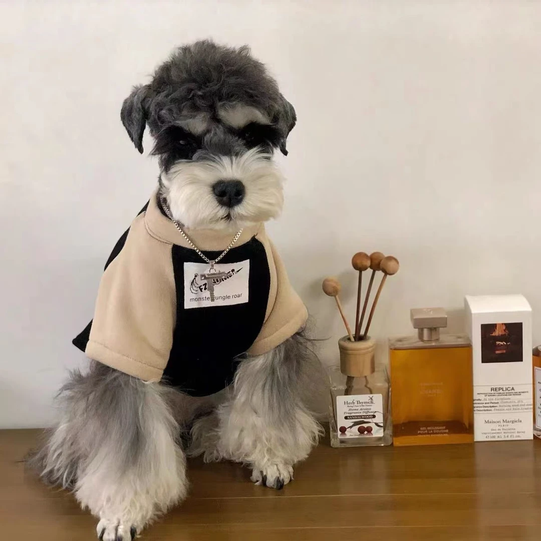 L狗狗衣服冬季法斗雪纳瑞柯基柴犬泰迪比熊猫咪加绒保暖潮牌卫衣