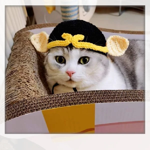 猪八戒装饰猫咪头套毛线帽子可爱宠物变装帽搞怪狗狗比熊泰迪头饰