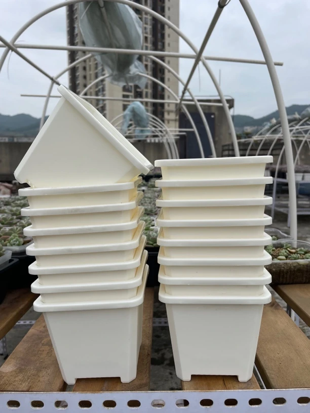 花满楼12口径白方，质量非常好，标价是20个的价格