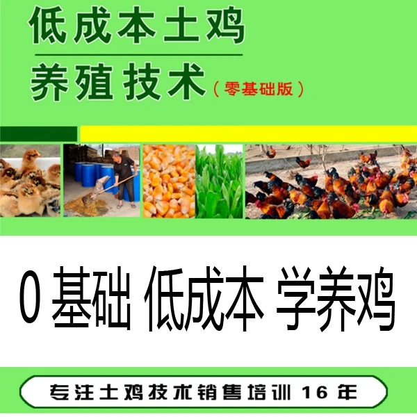 低成本土鸡养殖技术