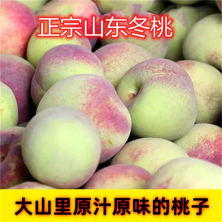 冬桃毛桃桃子小山桃脆甜爽口青州蜜桃水果产地直发现摘现发蜜桃