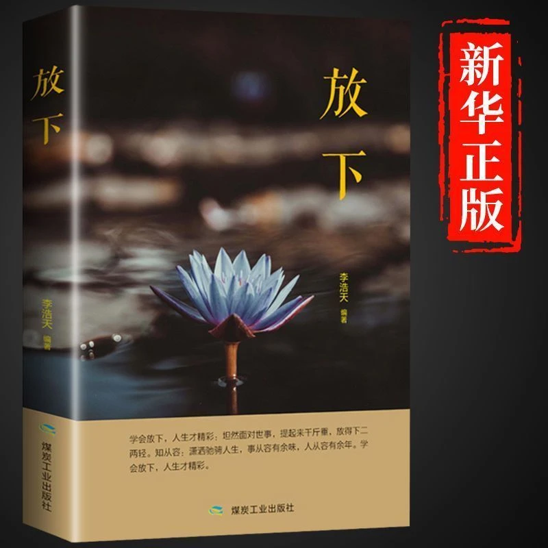 放下人生没有什么不可以放下静下心来乐观的人生哲学通俗读物励志