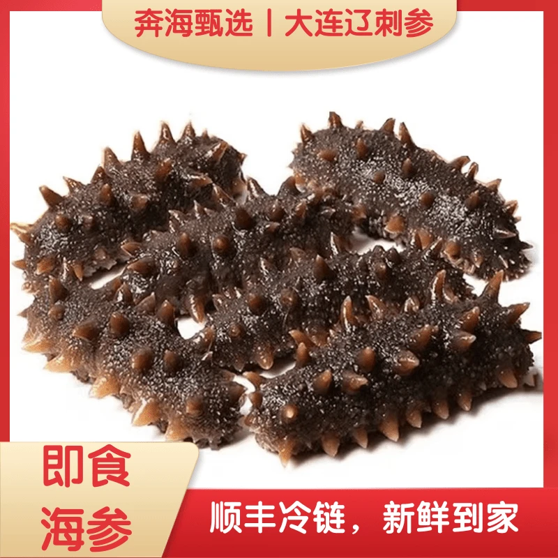 【奔海甄选】正宗大连底播即食辽刺参 鲜活制作灰海参 不染色 0添加