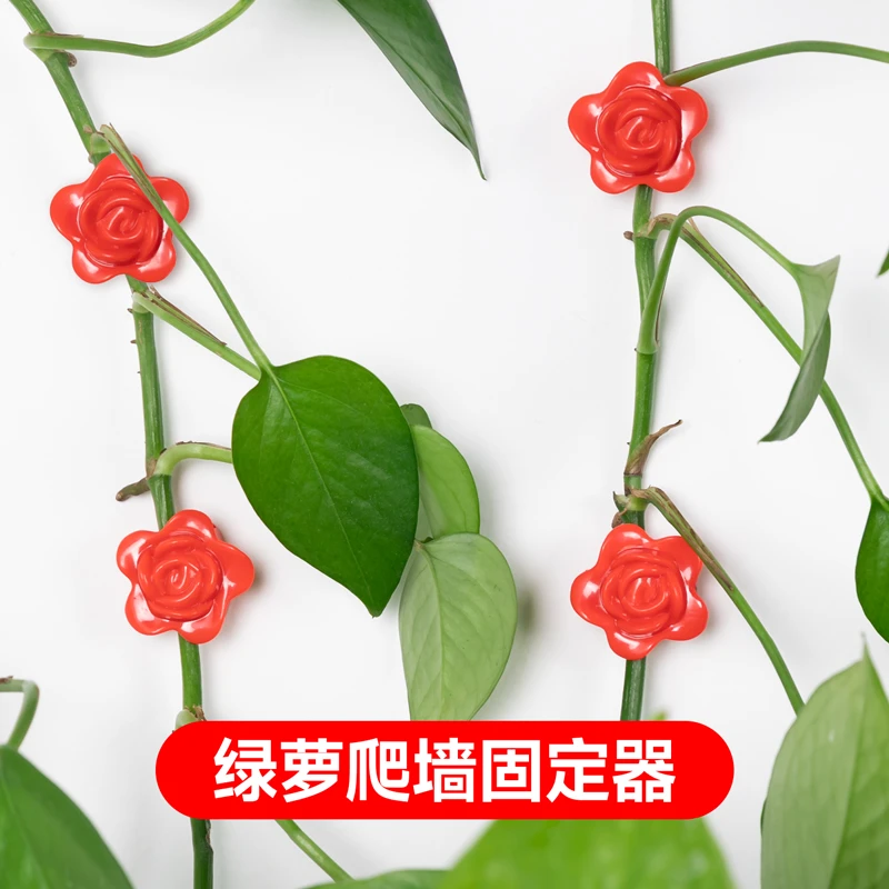 绿萝爬藤固定器玫瑰型爬墙神器爬上自粘挂钩卡扣藤蔓爬墙卡扣夹子