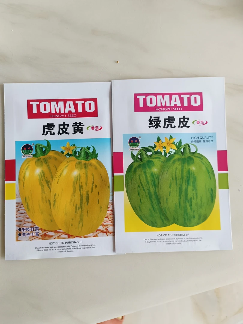 【虎皮黄柿子+绿虎皮种子组合】种子水果柿子甜面起沙