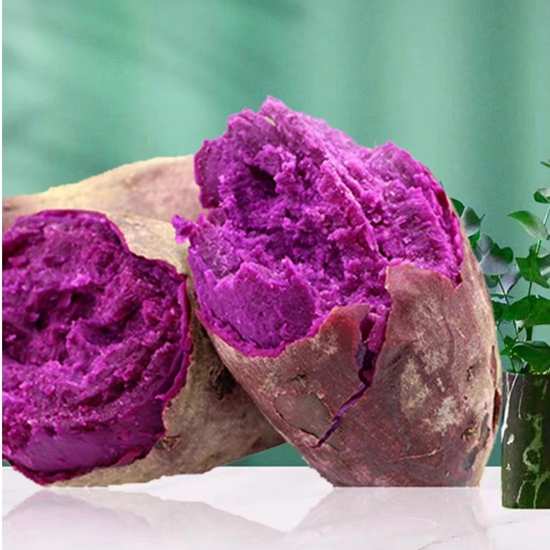 山礼农初【天目云妈 】 鲜甜香糯  口感绵密  美味高山紫薯 大果5斤