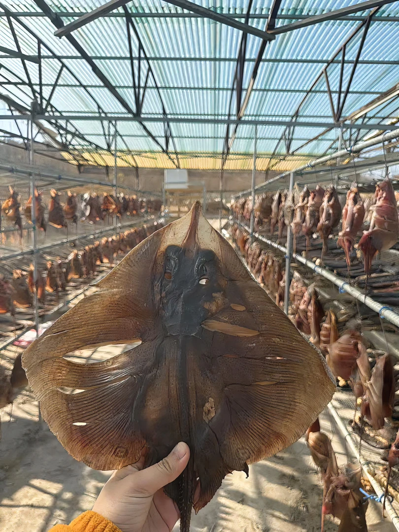 田横发货    老板鱼干     淡干