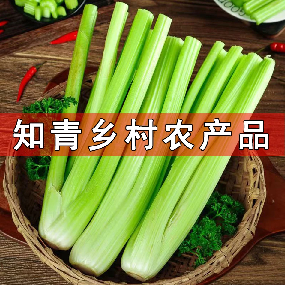 西芹新鲜大颗半叶芹菜新鲜榨汁5斤农家自种嫩芯青菜香芹蔬菜