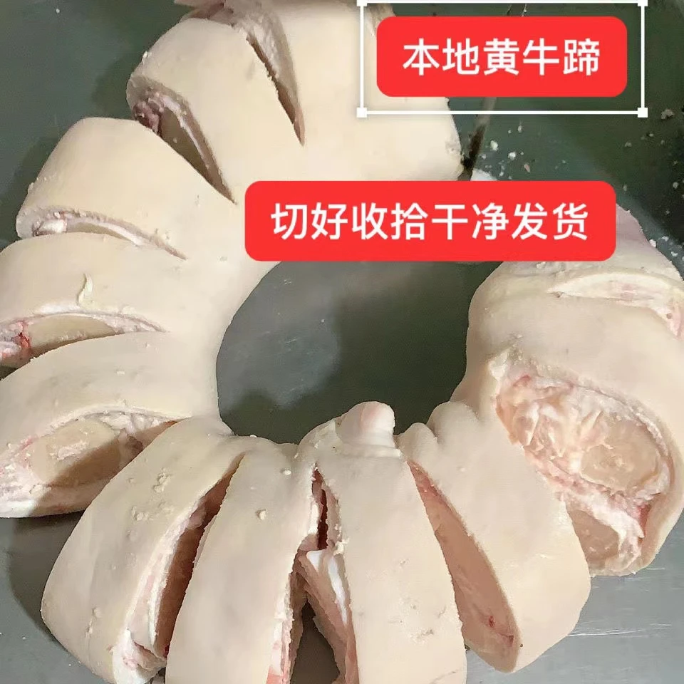 小黄牛 生牛蹄 4斤 5斤 6斤 7斤 8斤 连云港发货