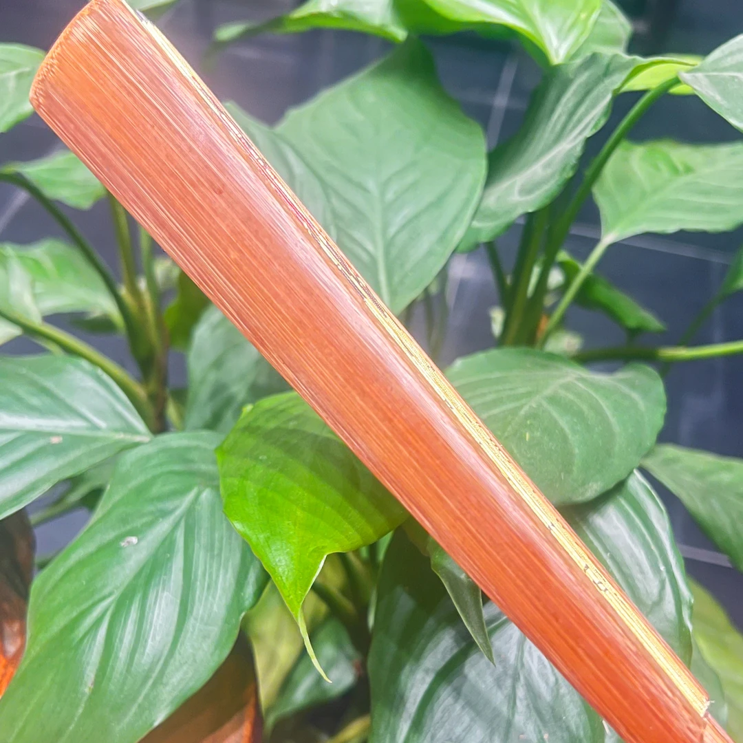 【古训堂】10 一物一拍-文玩折扇 盛风苏扇出品 默认不粘扇面