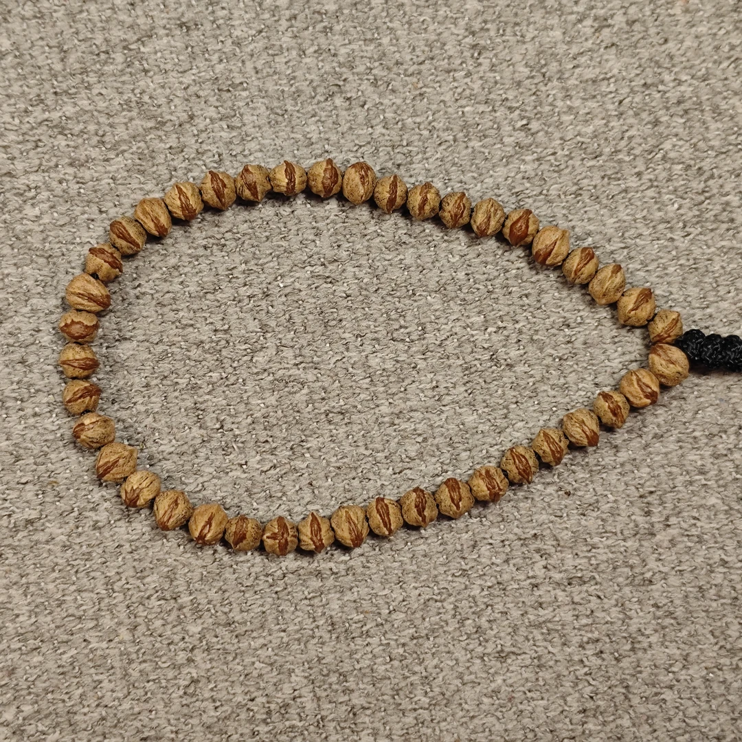 【红芽横打手持】柏香籽  原桩尺寸6+