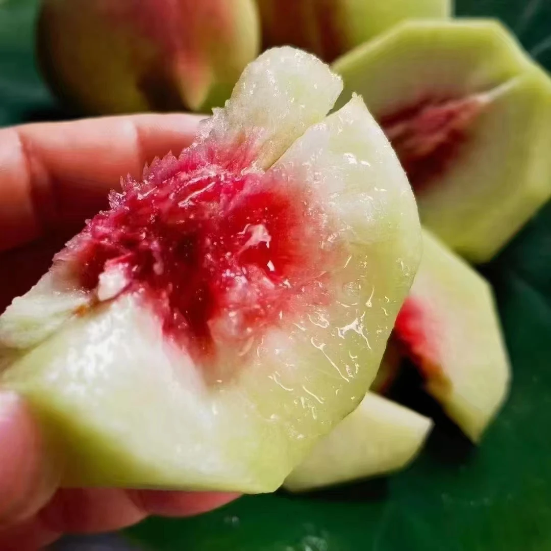 正宗连平上坪鹰嘴蜜桃精选中果爽脆甜2.5-3两8斤广东省内顺丰快递