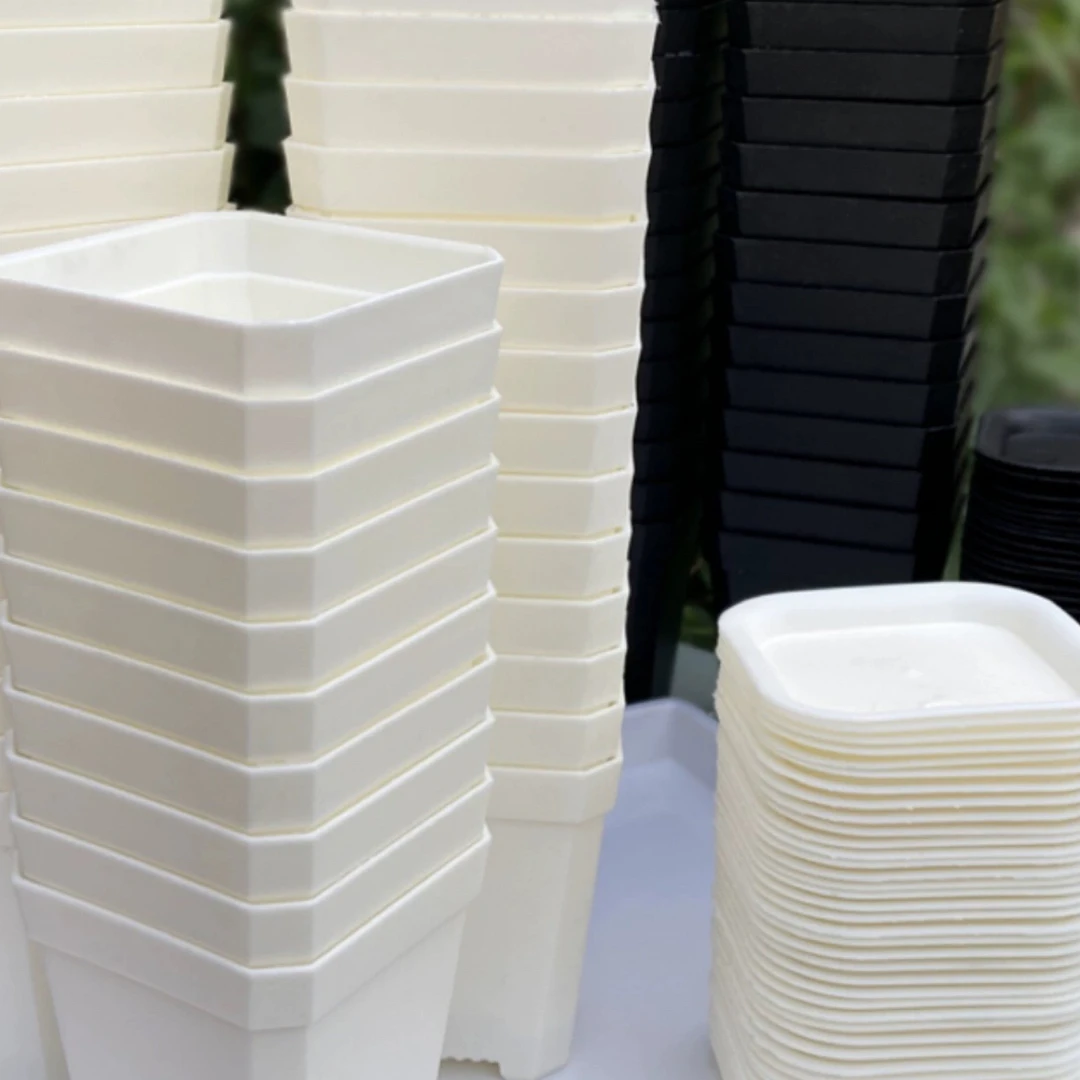 多肉植物专用白色7方盆15个