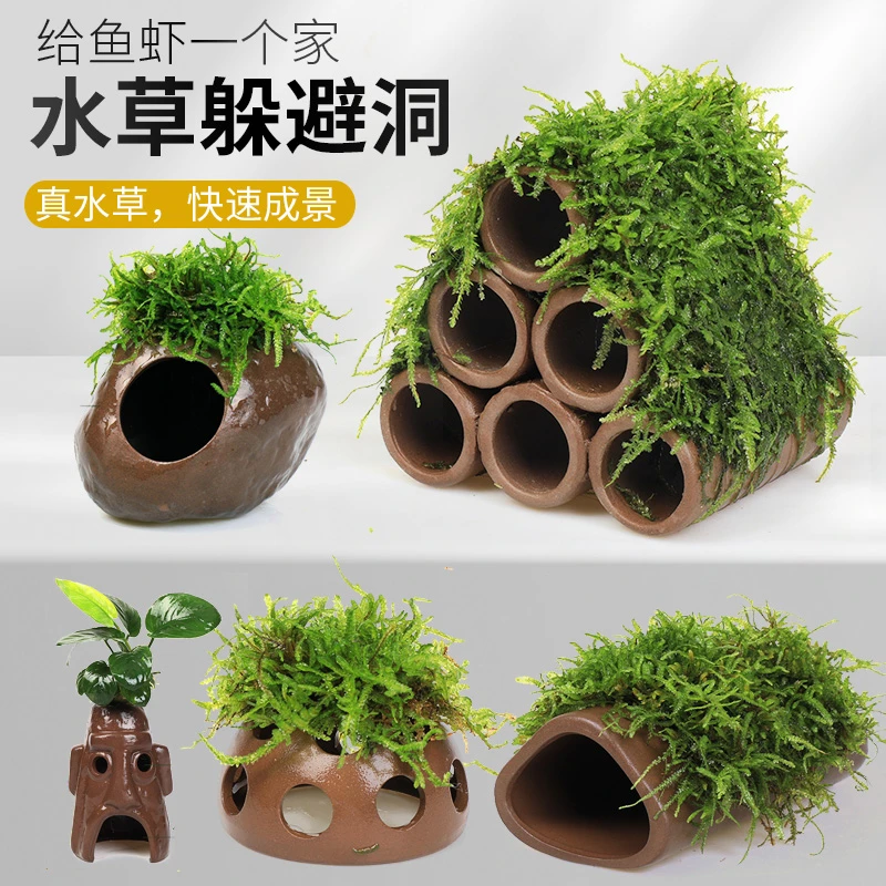 鱼缸懒人真植物鱼虾躲避罐虾屋小摆件小鱼繁殖躲避屋莫斯水草造景
