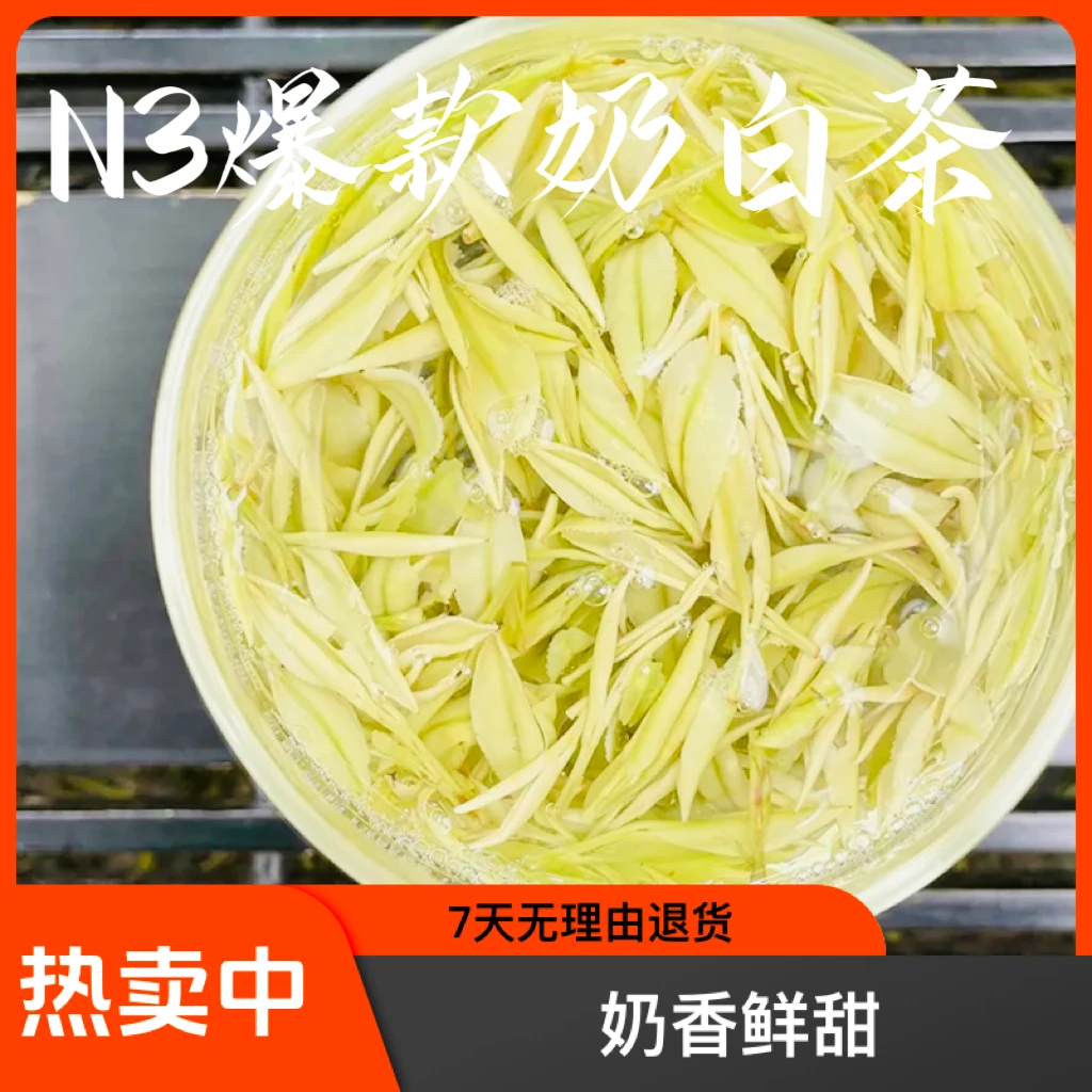2024新茶【N3爆款奶白茶】北沟山1号基地正宗源头好茶奶香鲜甜新鲜
