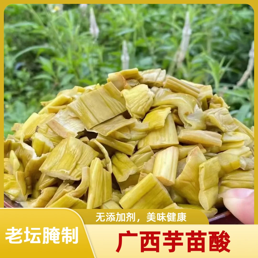 广西博白特产芋苗酸芋苗干梗新鲜腌制农家制作开胃酸菜下饭泡菜