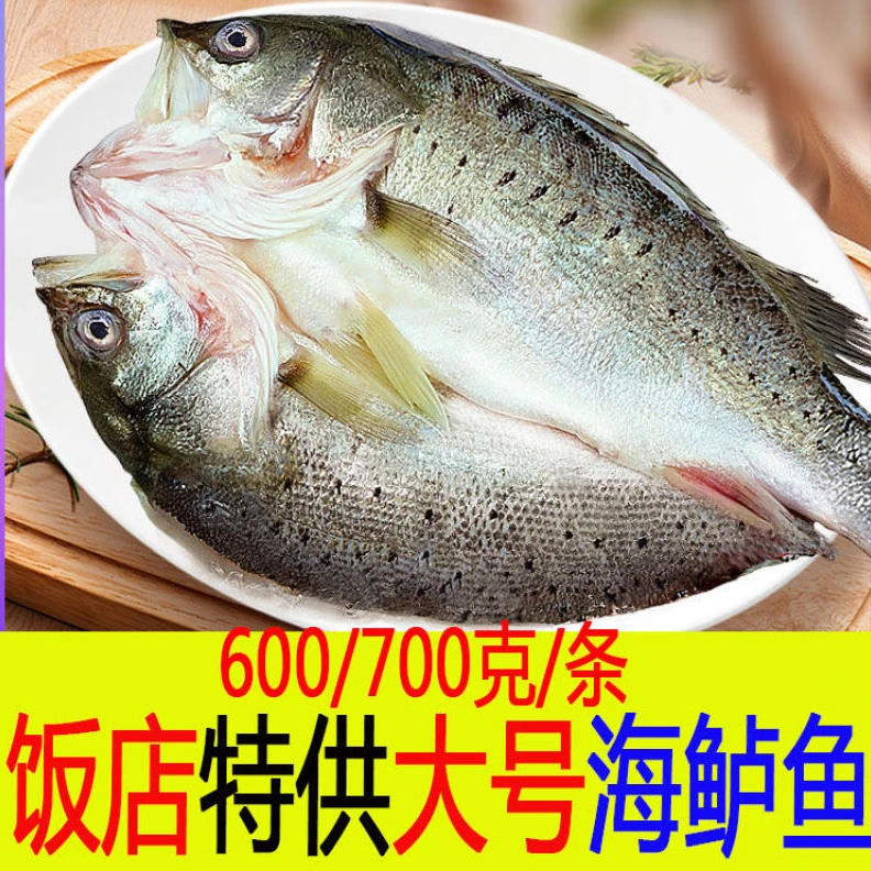 【饭店用大号海鲈鱼开背】600/700g深海七星新鲜冷冻鲜嫩美味生鲜鱼