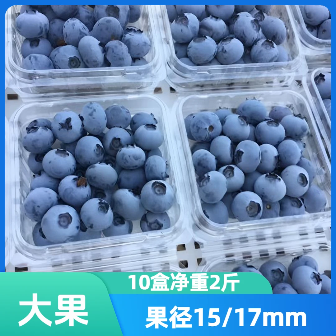 【大果蓝莓】10盒 果径 15/17mm 100克/盒  当季应季水果 鲜果