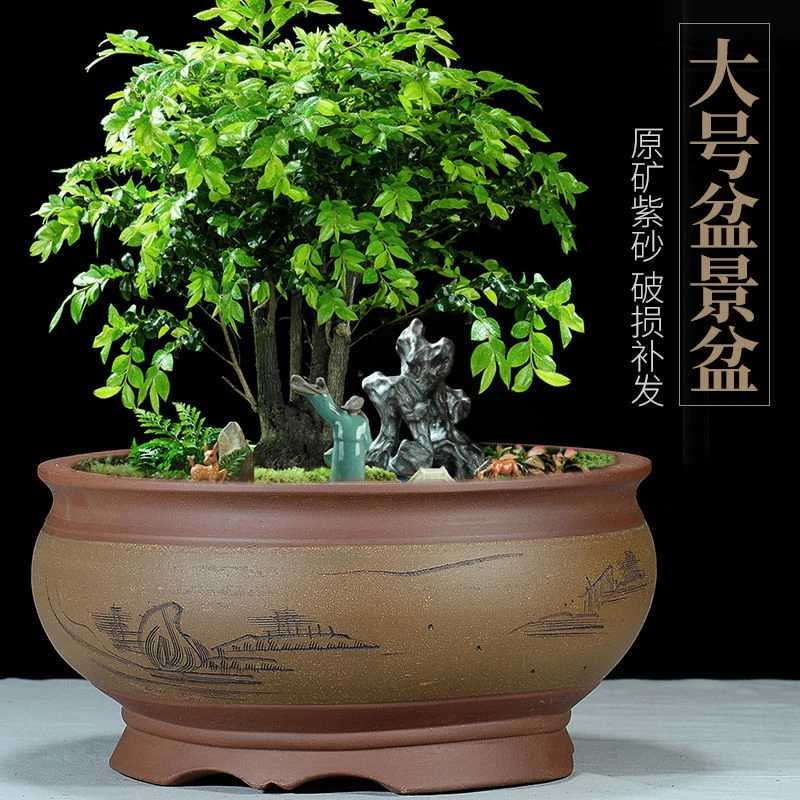 紫砂花盆大口径盆景盆绿萝枫树榕树植透气特大紫砂鼓盆中国风花盆