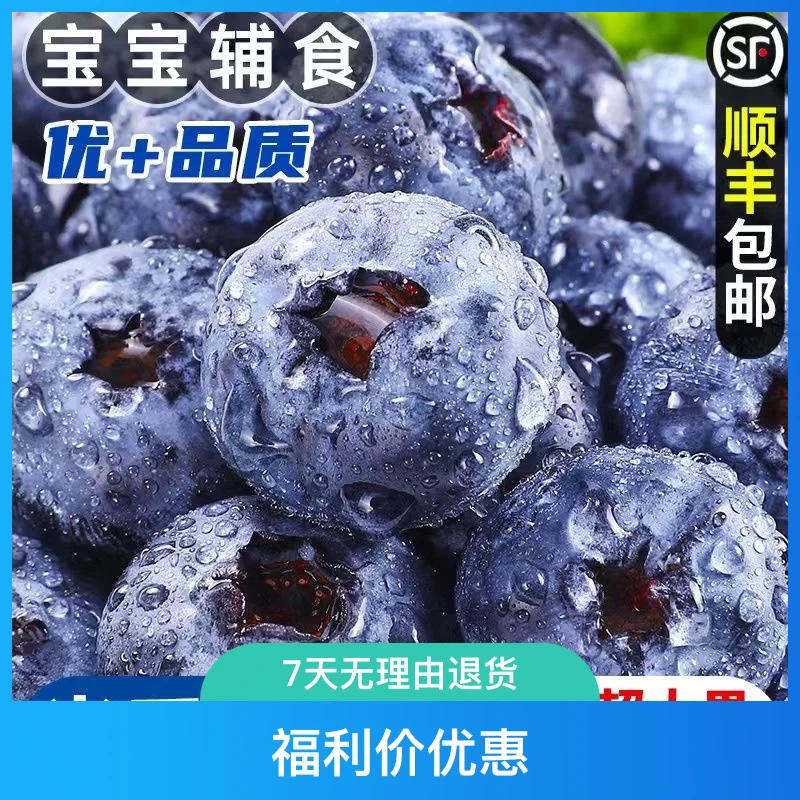 果王蓝莓18+以上新鲜采摘现摘现发孕婴辅食100g到手10盒